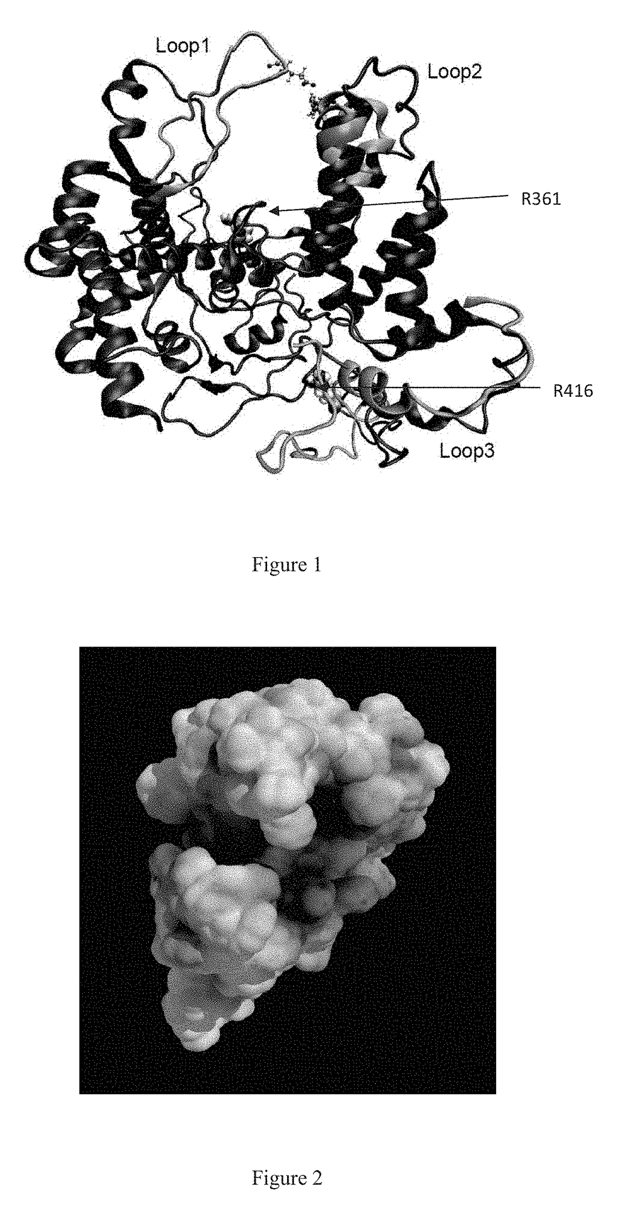 Antiviral compositions directed against the influenza virus nucleoprotein