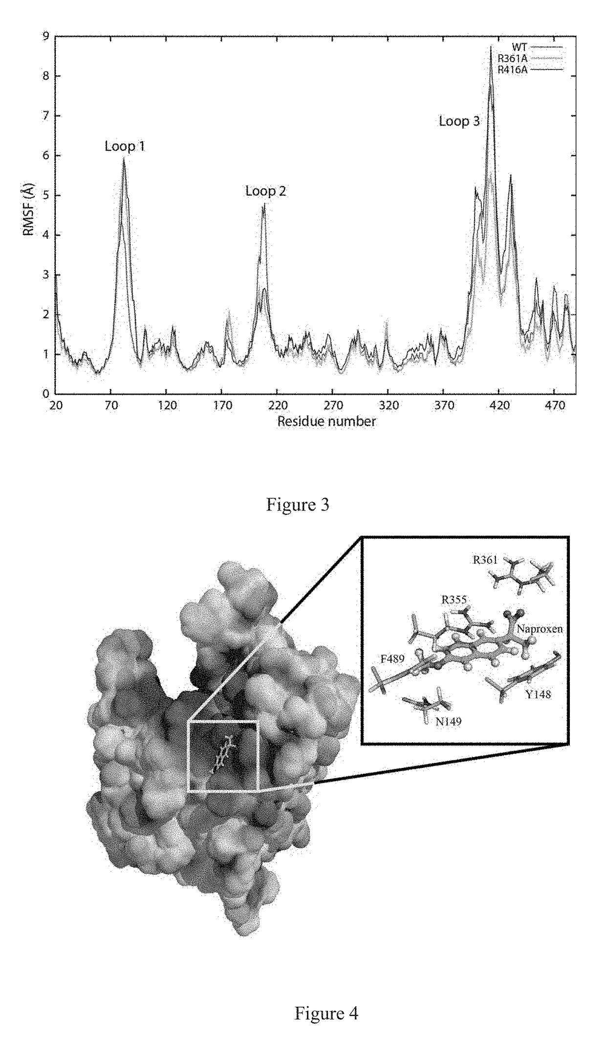 Antiviral compositions directed against the influenza virus nucleoprotein