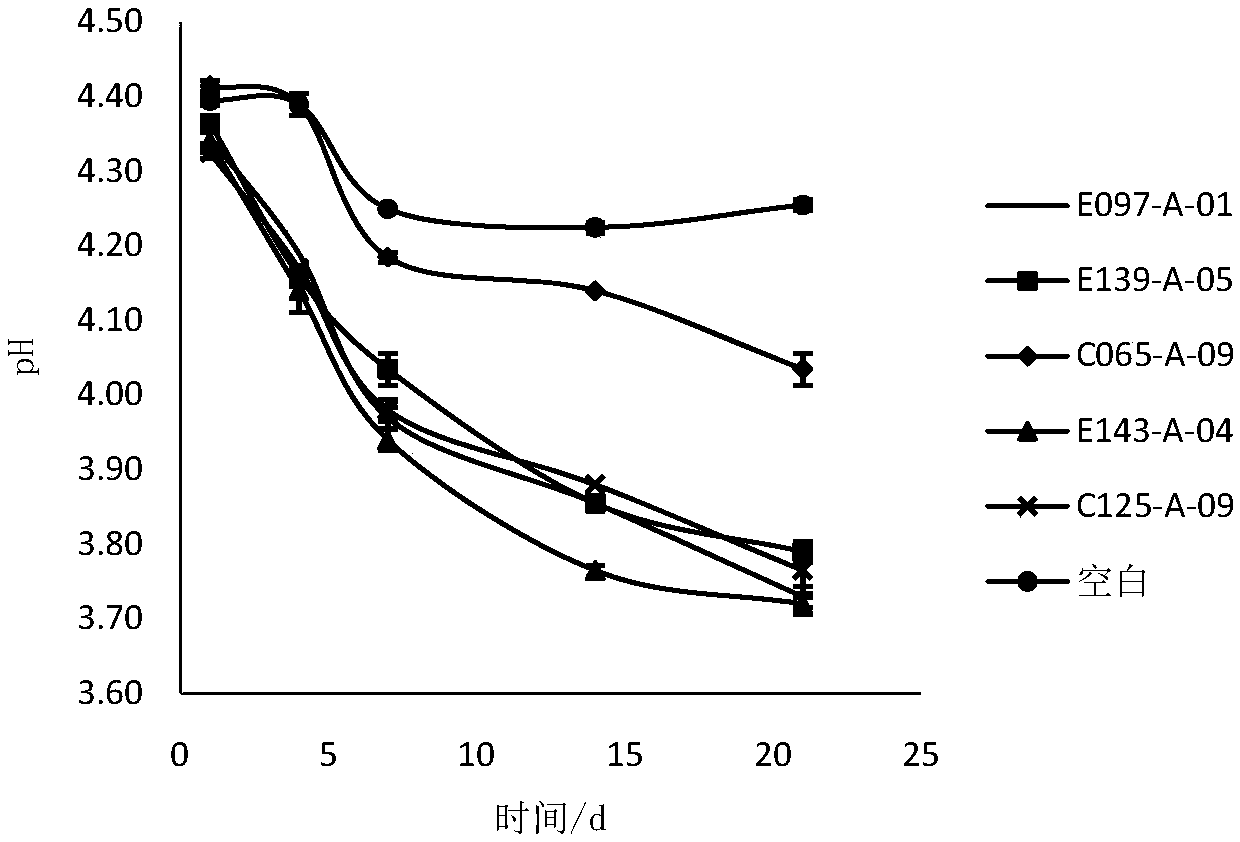 Lactobacillus paracasei and application thereof