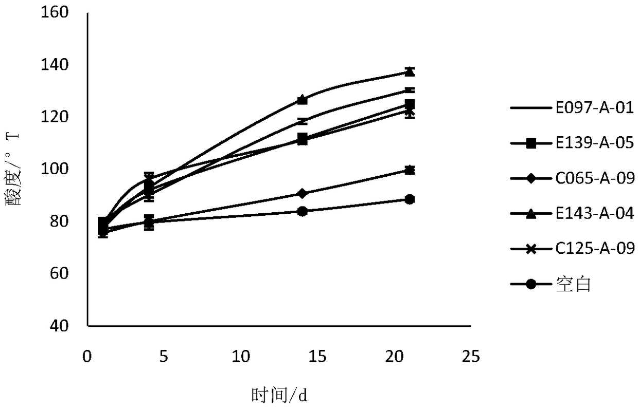 Lactobacillus paracasei and application thereof