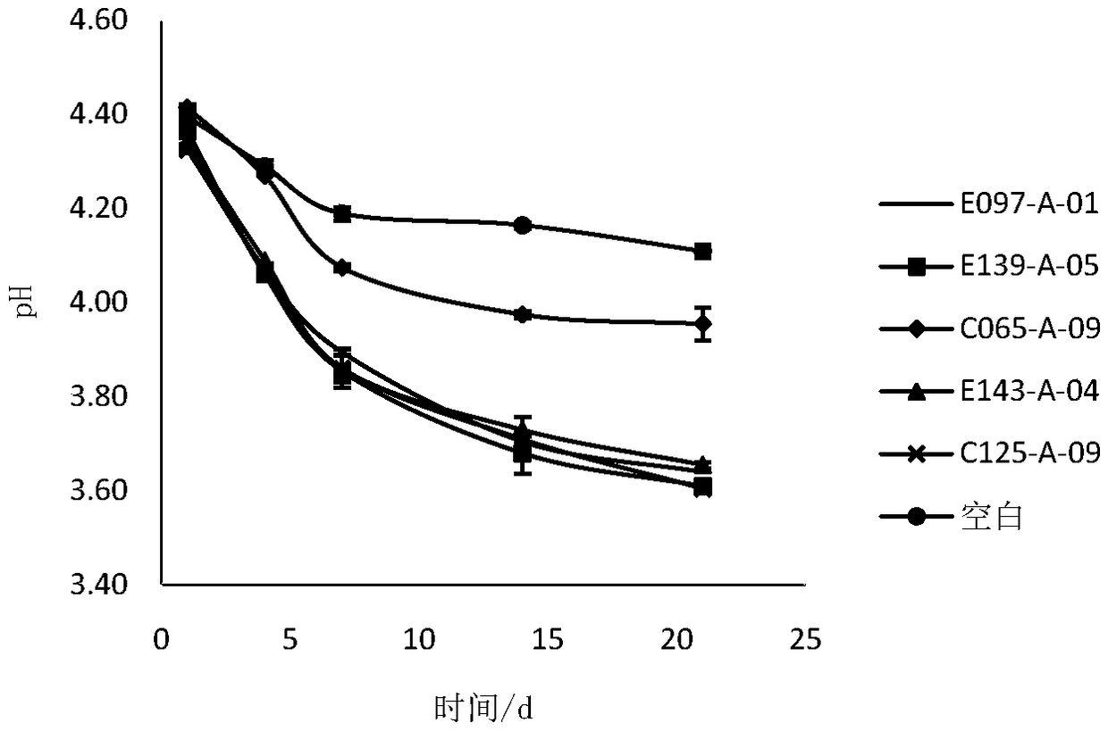 Lactobacillus paracasei and application thereof