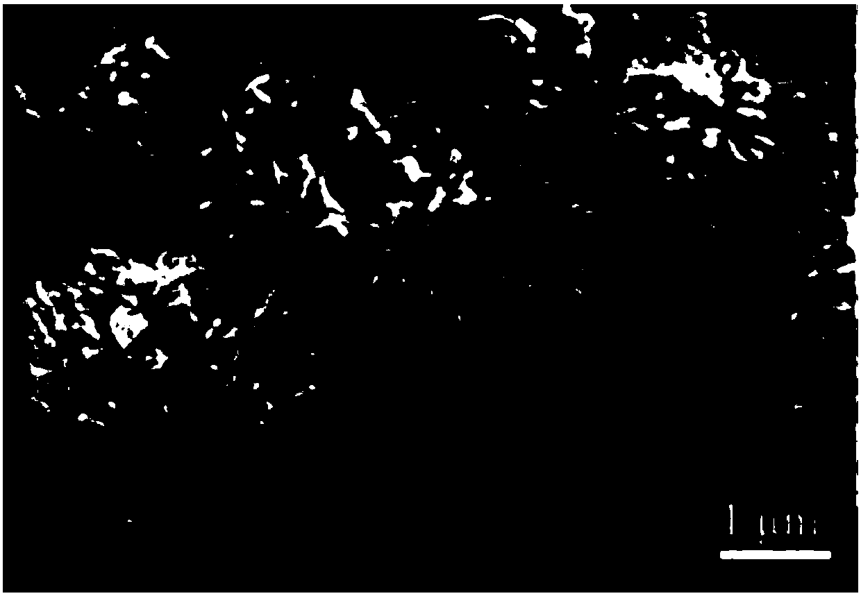 Preparation method of multifunctional biodegradable oil-water separation film