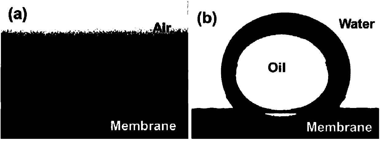 Preparation method of multifunctional biodegradable oil-water separation film