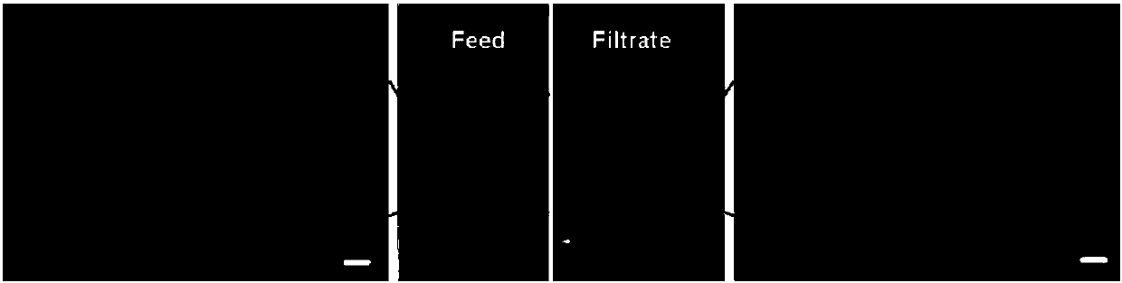 Preparation method of multifunctional biodegradable oil-water separation film