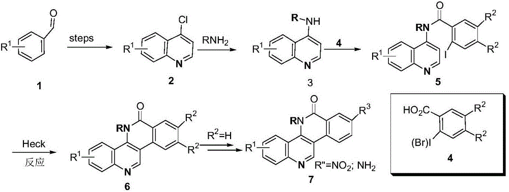 Dibenzonaphthyridinone compounds, preparation method, and applications thereof