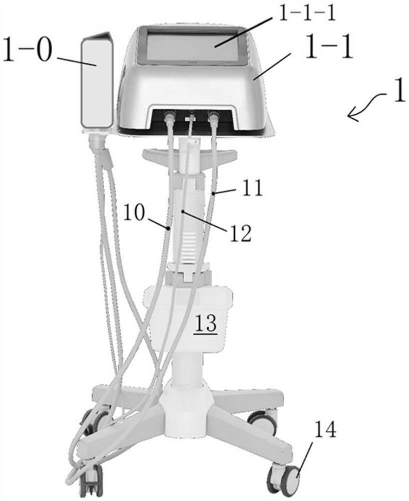 Laser dot matrix intelligent skin physiotherapy instrument based on electroporation