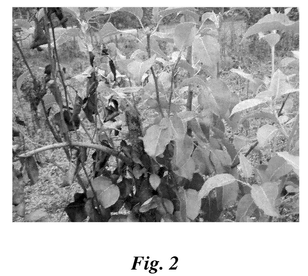 Formulation and method for treating plants to control or suppress a plant pathogen