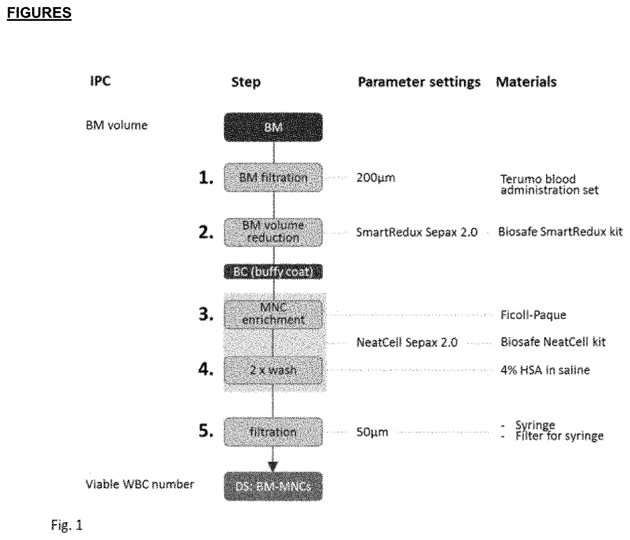 Cell suspension for use in the treatment of lower extremity peripheral artery disease