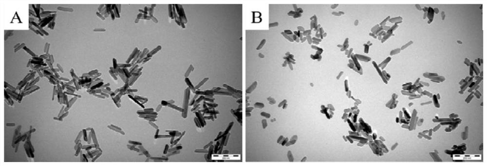 A kind of bone wax with bone repair function and its preparation method and application