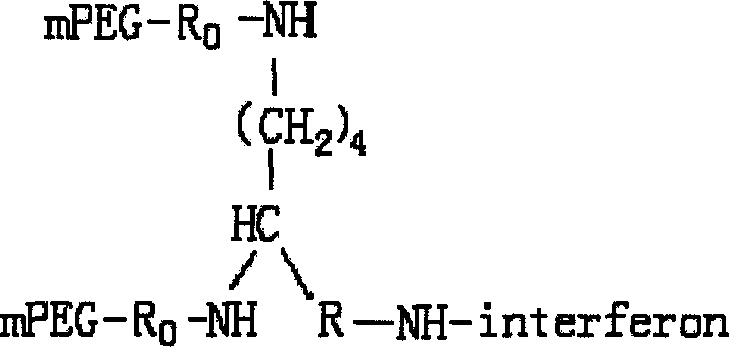 Conjugate of branched chair polymacrogol-interferon, and its preparing method