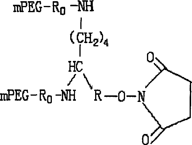 Conjugate of branched chair polymacrogol-interferon, and its preparing method