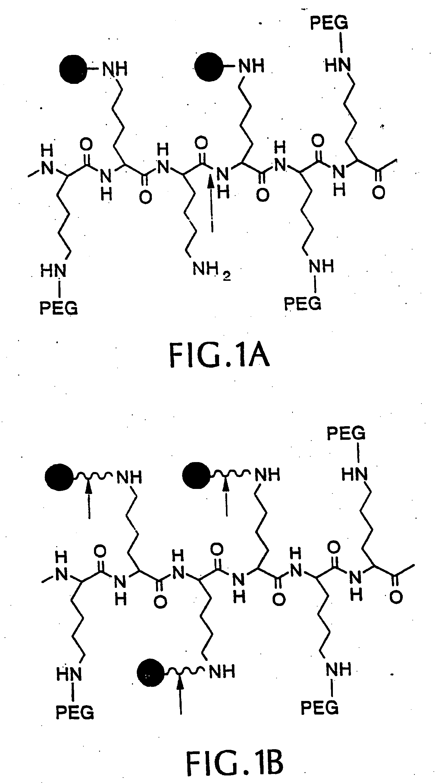 Intramolecularly-quenched near infrared fluorescent probes