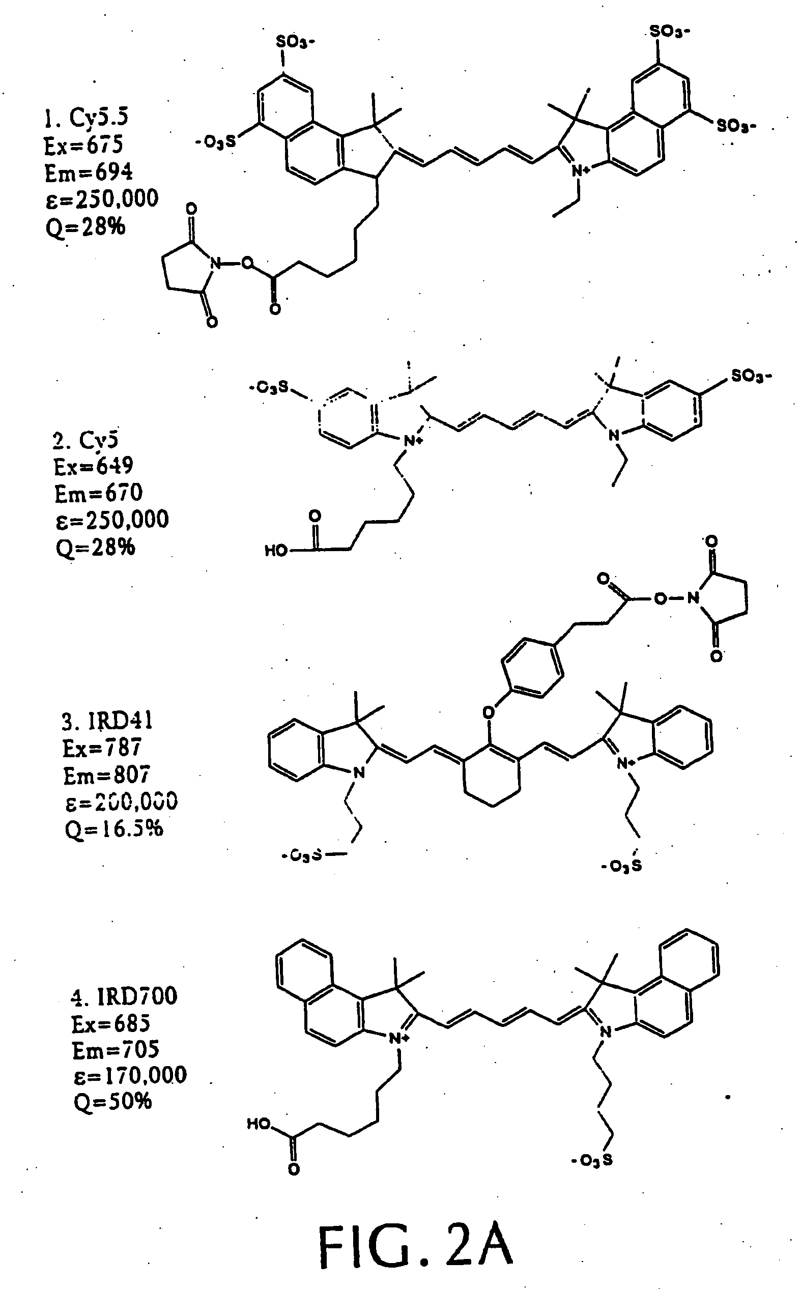 Intramolecularly-quenched near infrared fluorescent probes