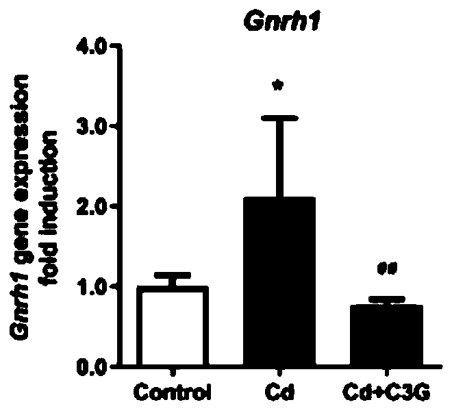 Application of cyanidin-3-O-glucoside in preparation of drugs for treating and/or preventing hormonal disorder diseases