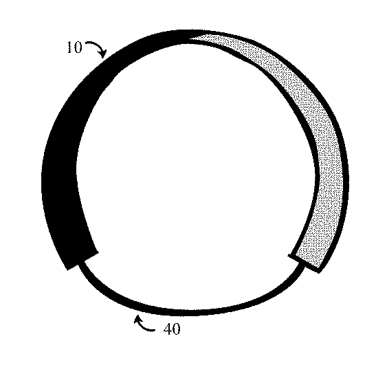 Headbands and methods for securing headbands and hair