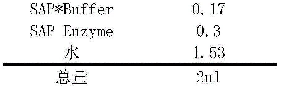 Antipsychotic drug related metabolism syndrome susceptible gene and application thereof