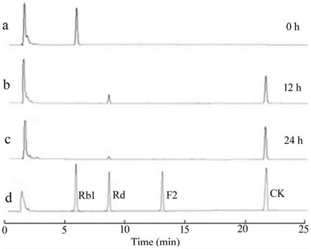 Method for preparing rare ginsenoside CK from transformed ginsenoside Rb1 and use thereof