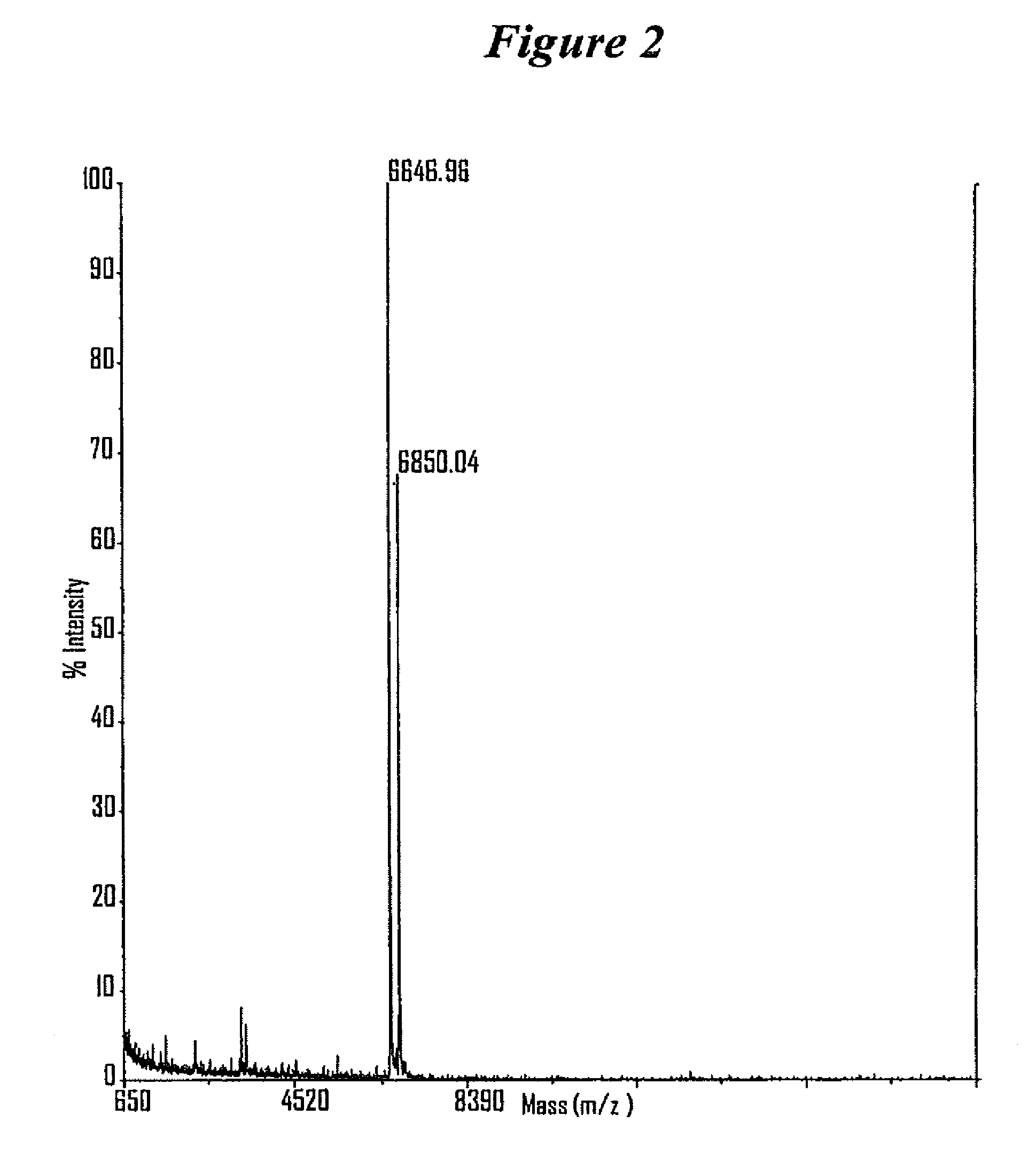 RNA interference mediated inhibition of GRB2 associated binding protein (GAB2) gene expression using short interfering nucleic acid (siNA)