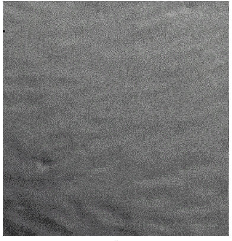 Method for inducing human umbilical cord mesenchymal stem cells to be differentiated into pancreatic beta cells