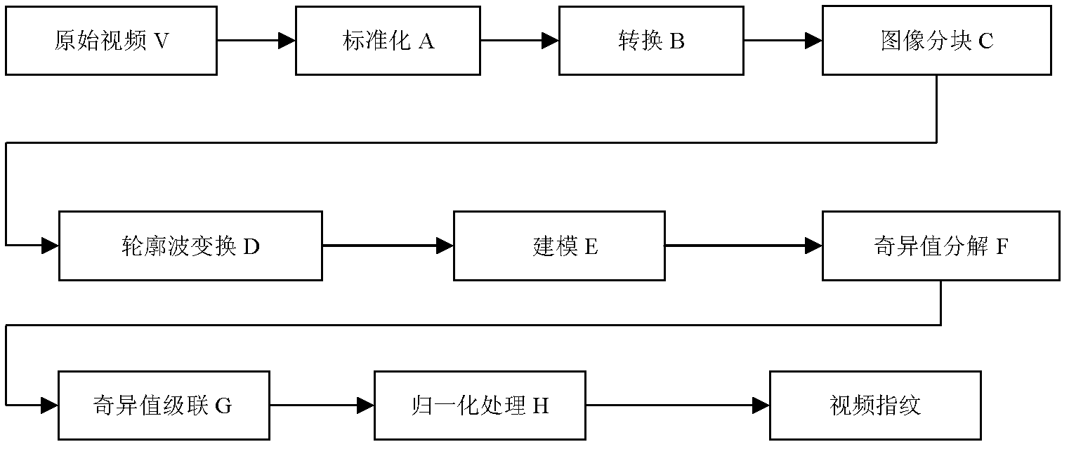 Video fingerprint method based on contourlet transformation model