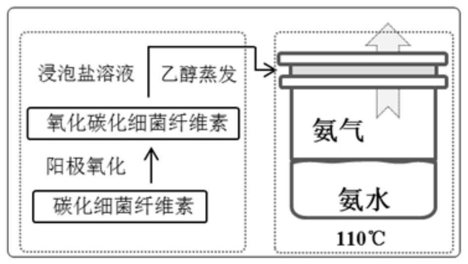 Preparation method of active metal oxide-carbonized bacterial cellulose electrode material