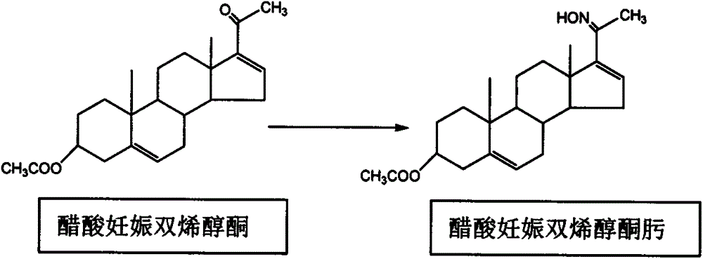 Production method of 16-dehydropregnenolone acetate oxime