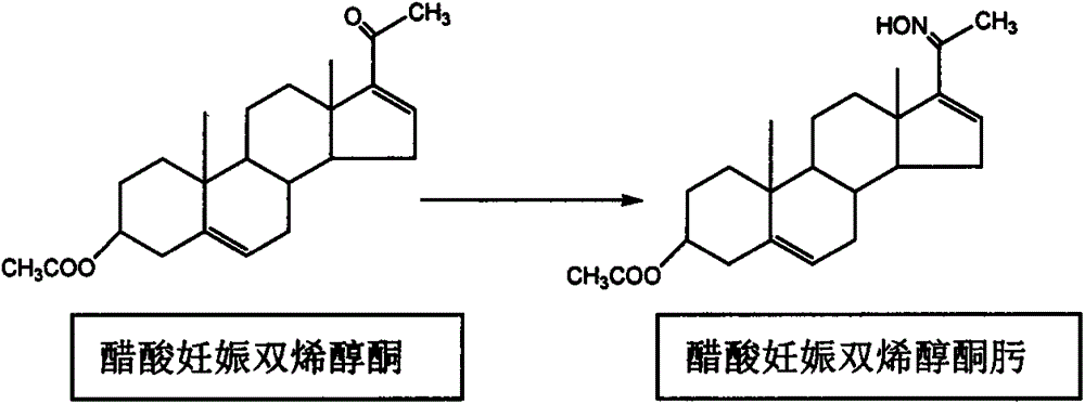 Production method of 16-dehydropregnenolone acetate oxime