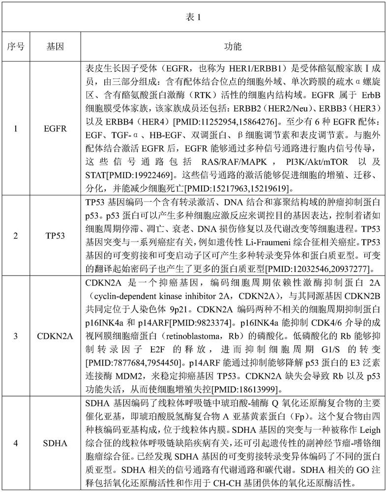 Target genome for gene detection of non-small cell lung cancer patient and related evaluation method, application and kit