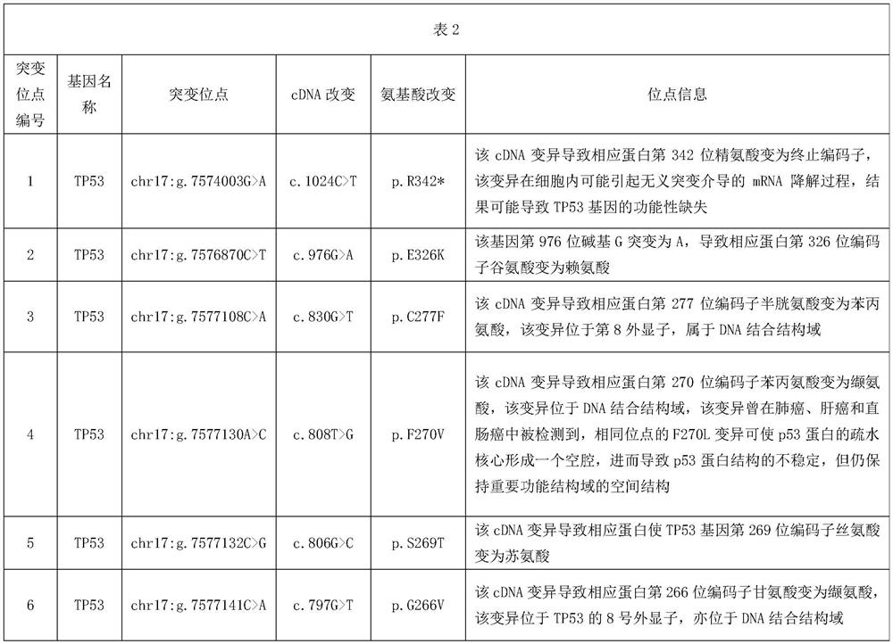 Target genome for gene detection of non-small cell lung cancer patient and related evaluation method, application and kit