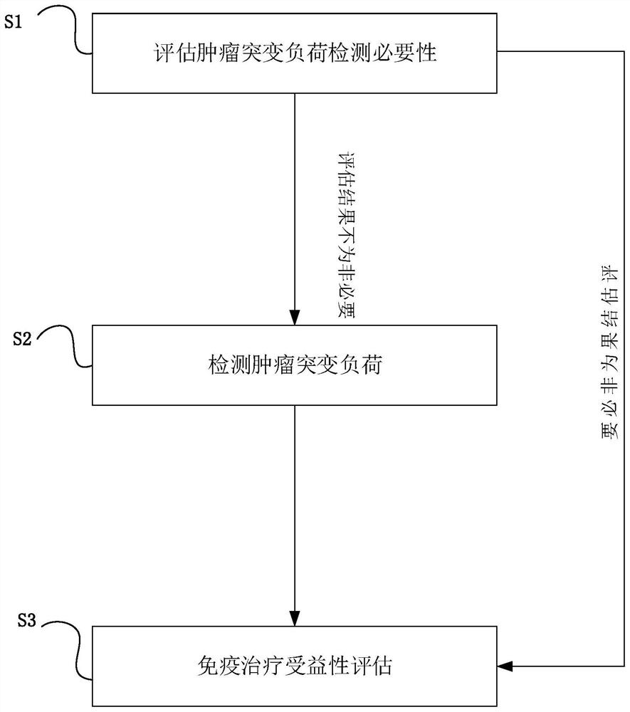 Target genome for gene detection of non-small cell lung cancer patient and related evaluation method, application and kit