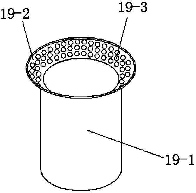 Biomass gasification furnace and gasification operation method thereof