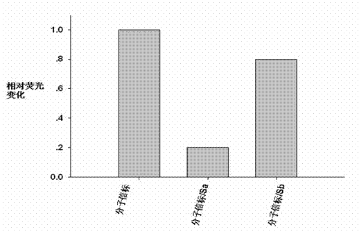 Nucleic acid aptamer molecular beacon probe for detection of platelet-derived growth factor