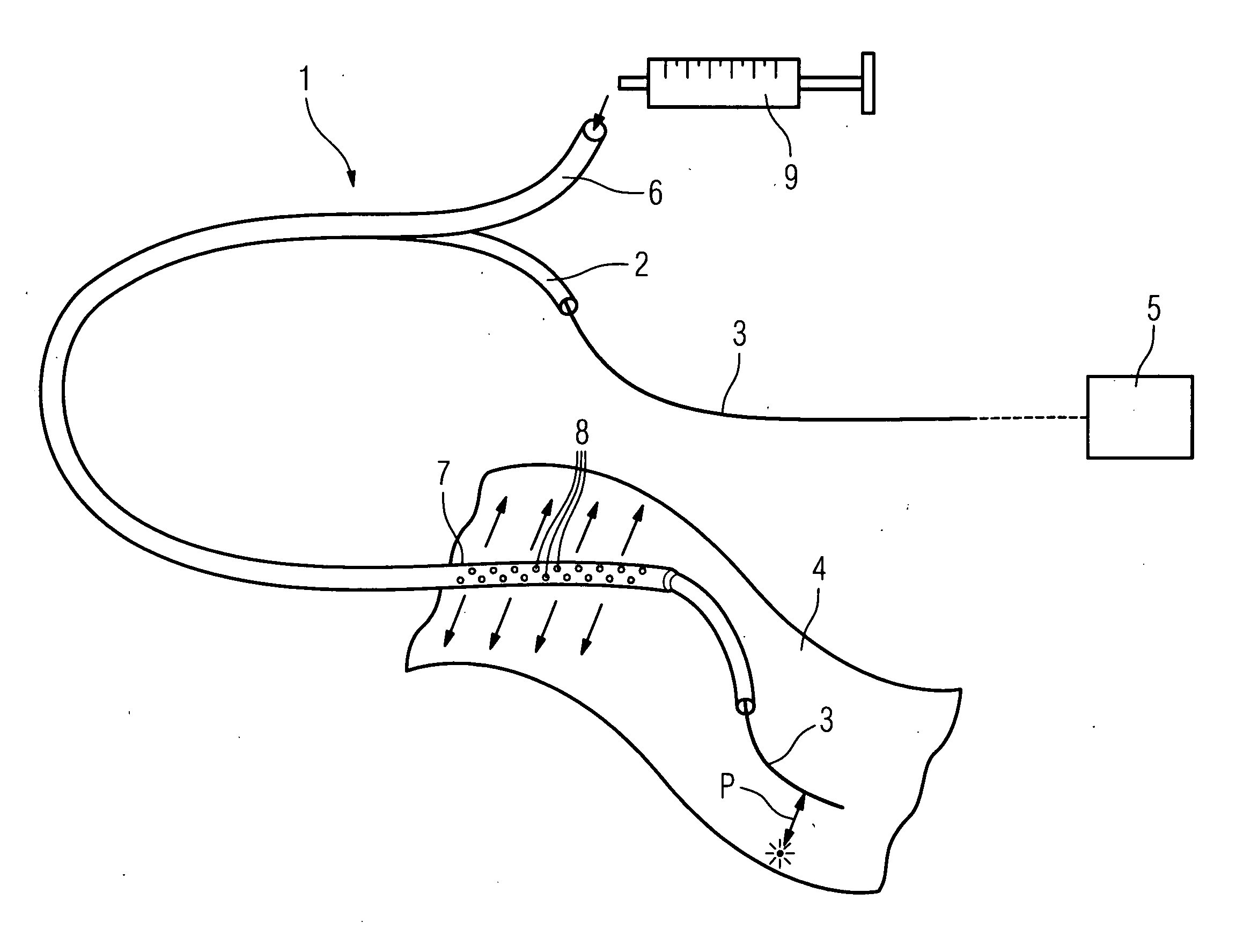 Method of recording two-dimensional images of a perfused blood vessel