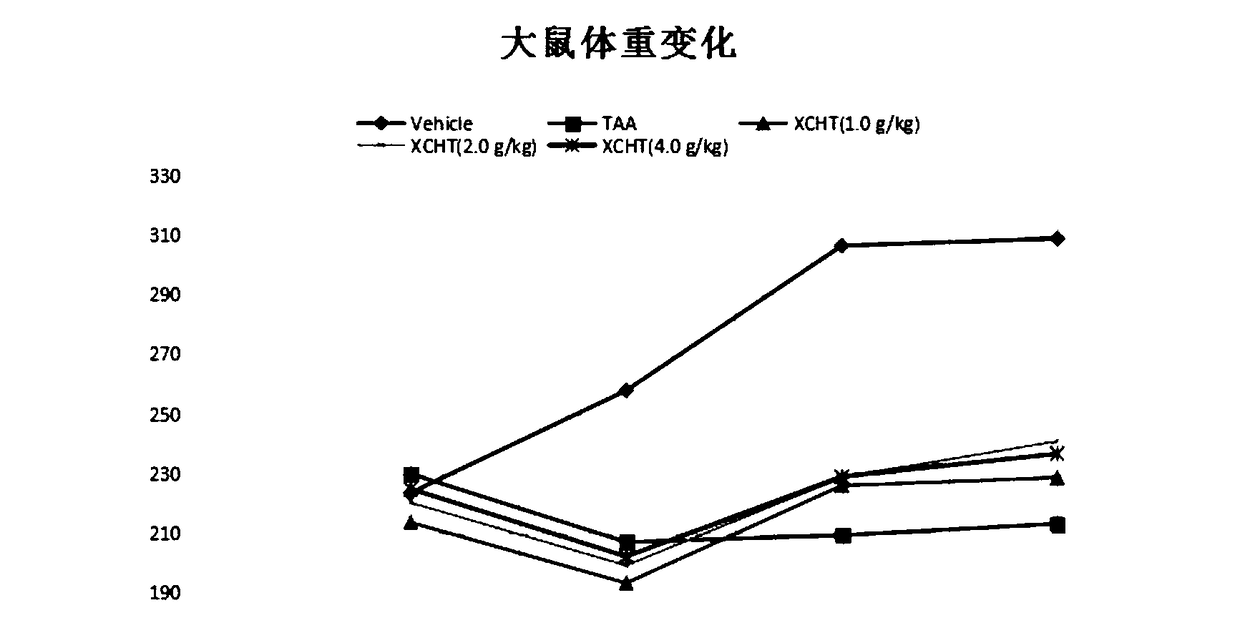 Application of common goldenrop soup in preparing medicine for treating hepatic encephalopathy