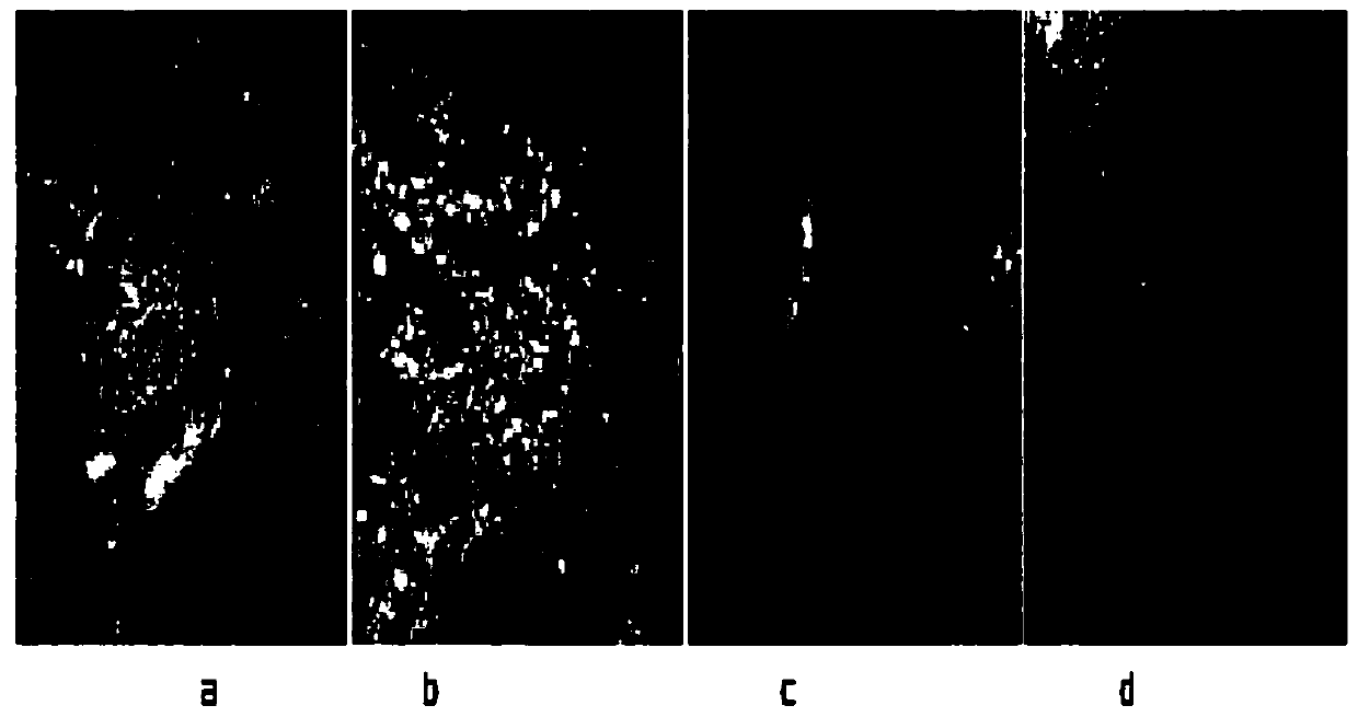 Environment-friendly and efficient liquid-state feed additive