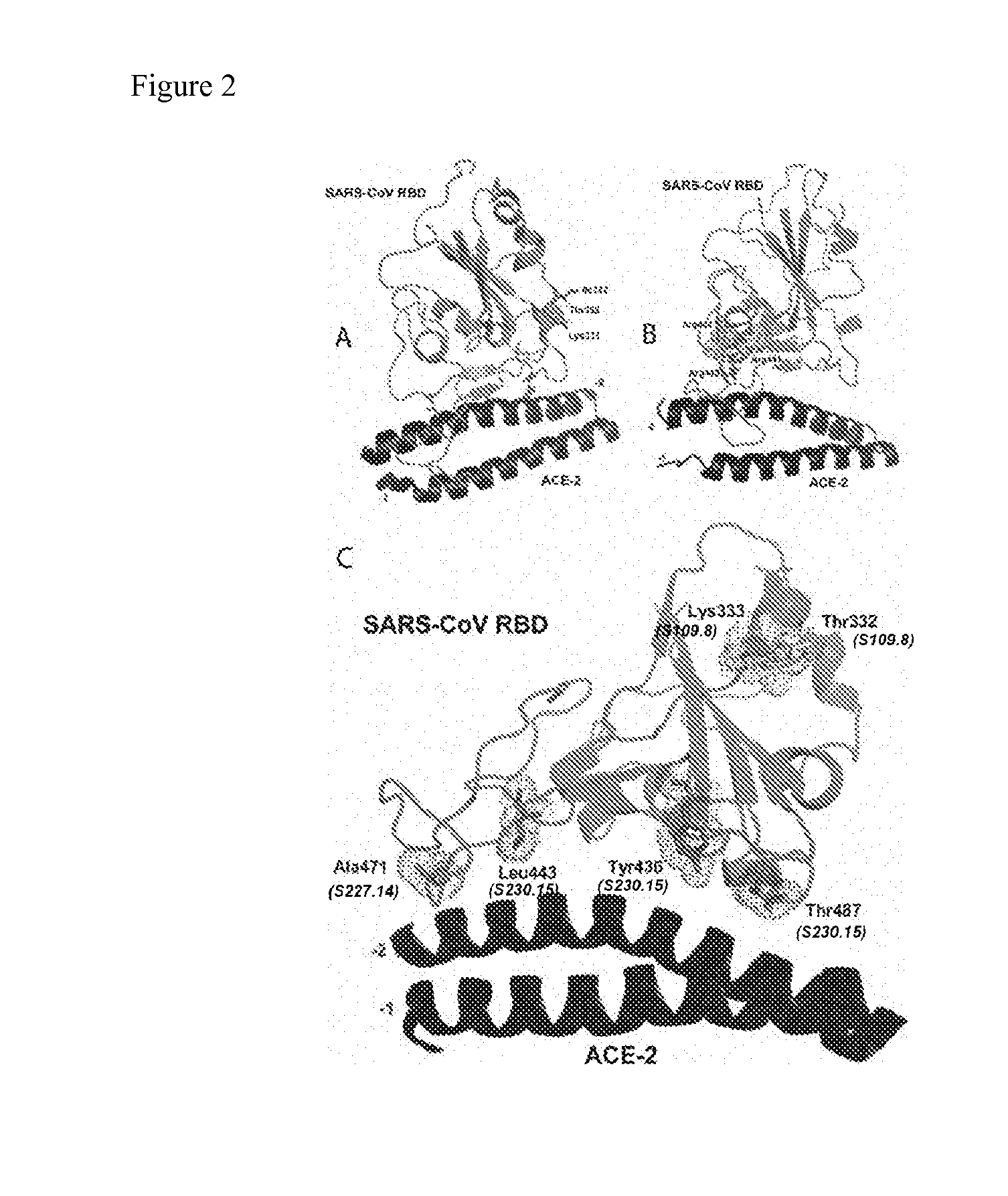 CROSS-NEUTRALIZING HUMAN MONOCLONAL ANTIBODIES TO SARS-CoV AND METHODS OF USE THEREOF