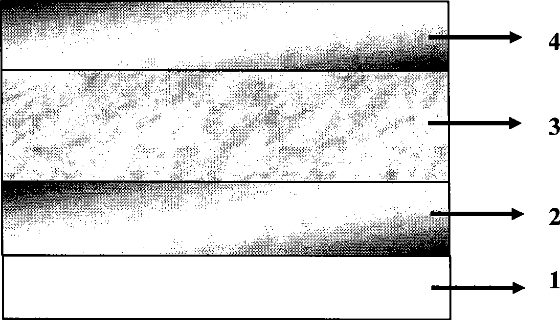 Organic light emitting device using high conductive hole transport material as hole transport layer