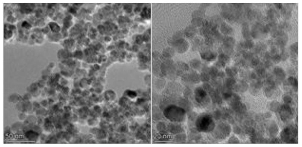 Magnetic bead for efficiently adsorbing extracellular DNA in environment, and preparation method thereof