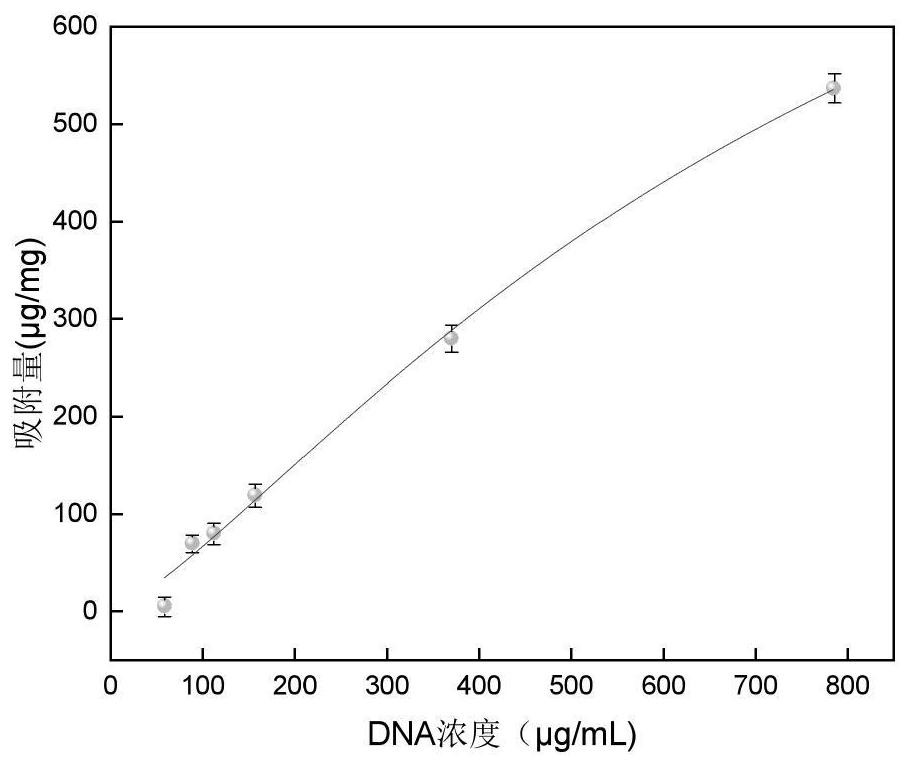 Magnetic bead for efficiently adsorbing extracellular DNA in environment, and preparation method thereof