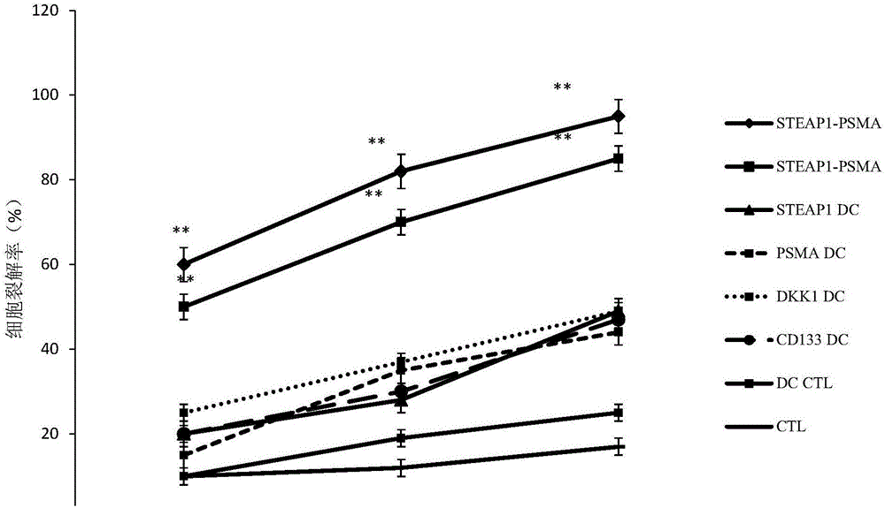 Antigen peptide composition and application thereof