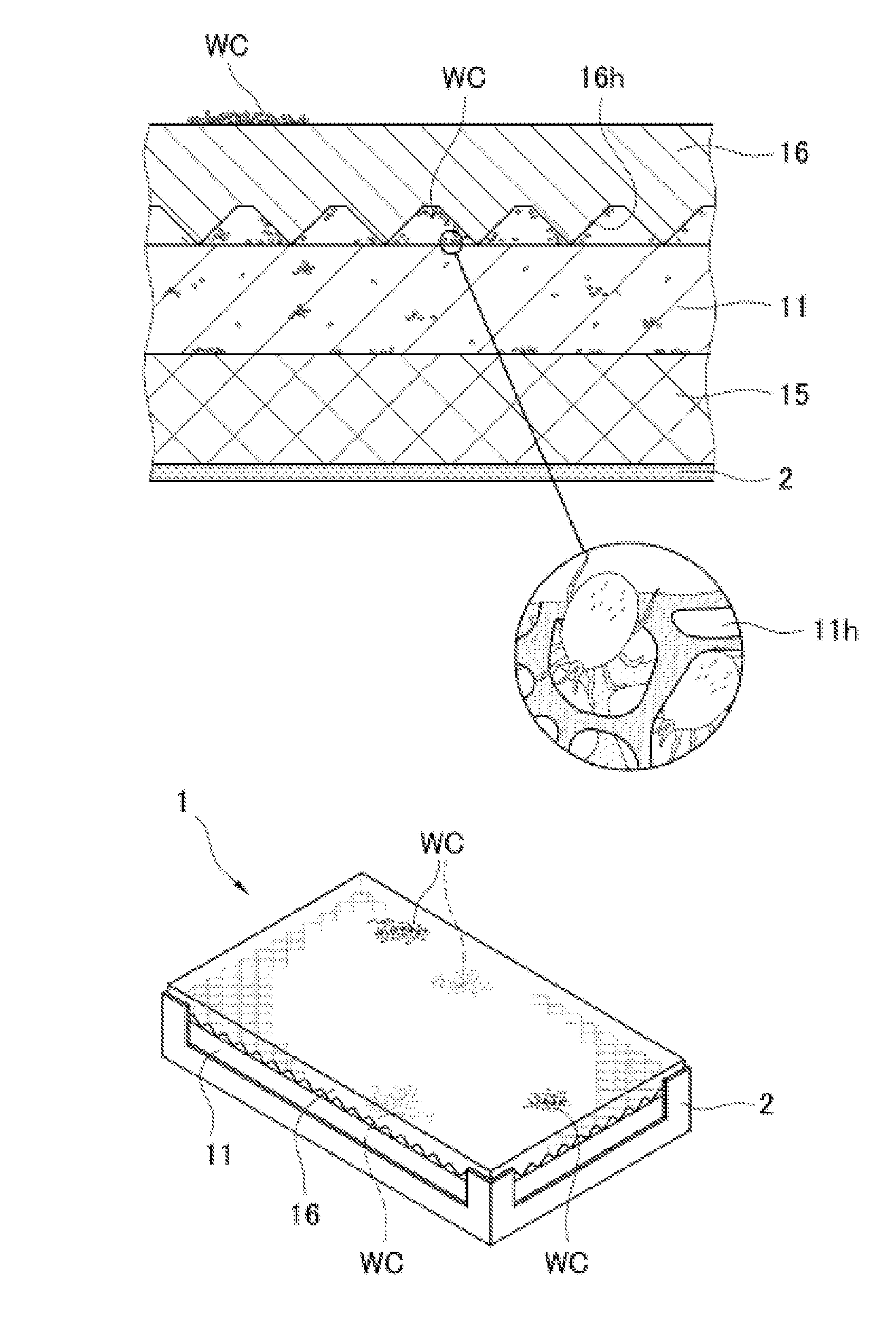 Insect-pest collection apparatus