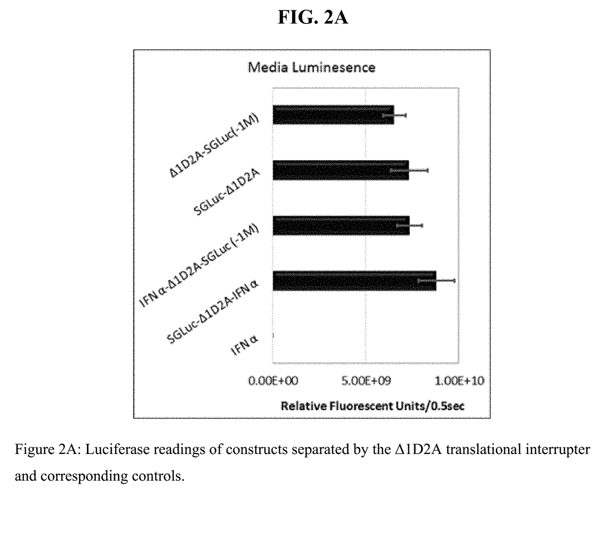 Fusion protein comprising gaussia luciferase, translation interrupter sequence, and interferon amino acid sequences