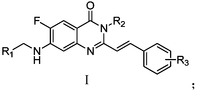 Novel quinazolinone compound as well as preparation method and application thereof