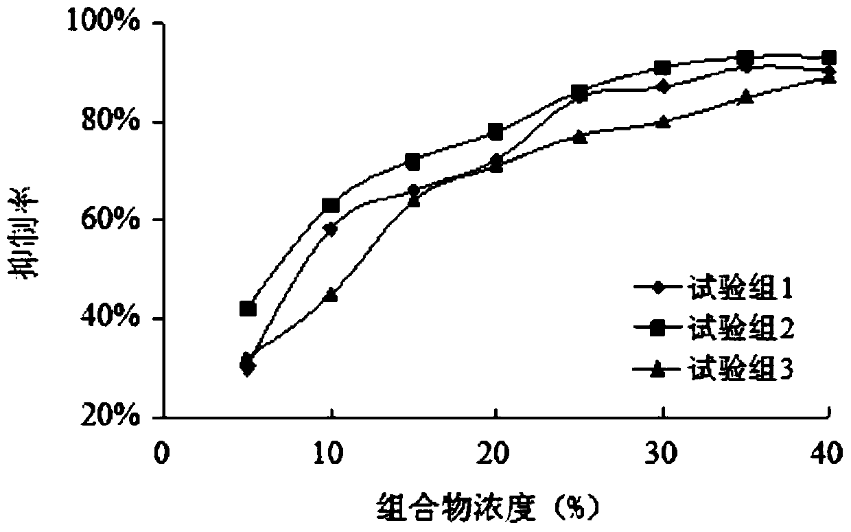 Composition with whitening and anti-aging effect, skin care product, preparation method and application