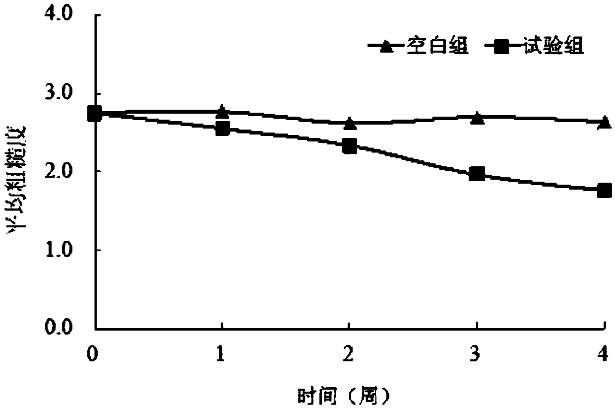 Composition with whitening and anti-aging effect, skin care product, preparation method and application