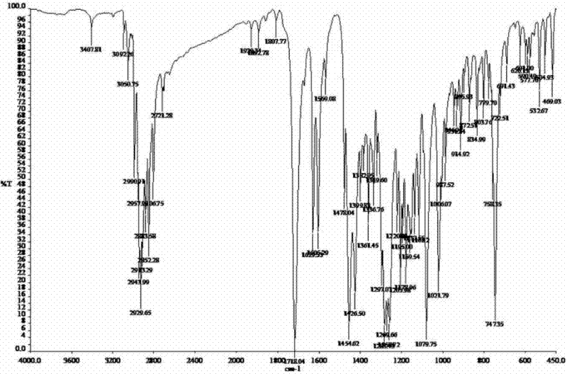 Vinpocetine polymer micelle preparation and preparation method thereof