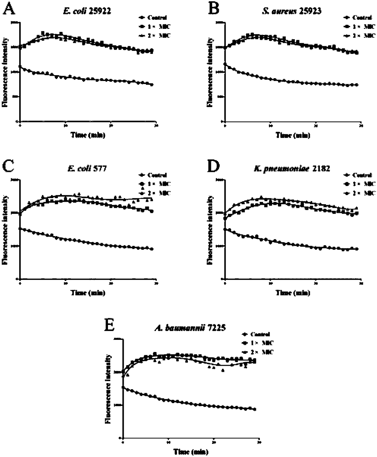 Polypeptide Pv26-3 with antimicrobial activity