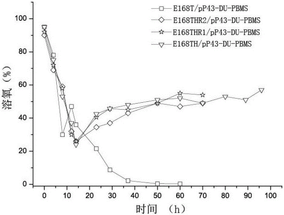 Construction method of recombinant bacillus subtilis capable of generating hyaluronic acid with specific molecular weight