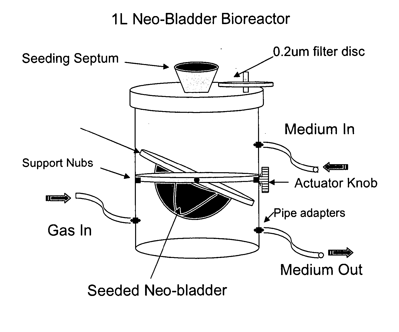 Bioreactor for organ reconstruction and augmentation