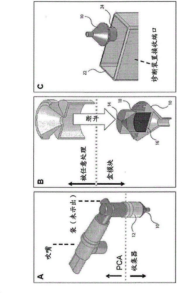 System for breath sample collection and analysis